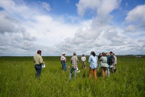 Grazing field day